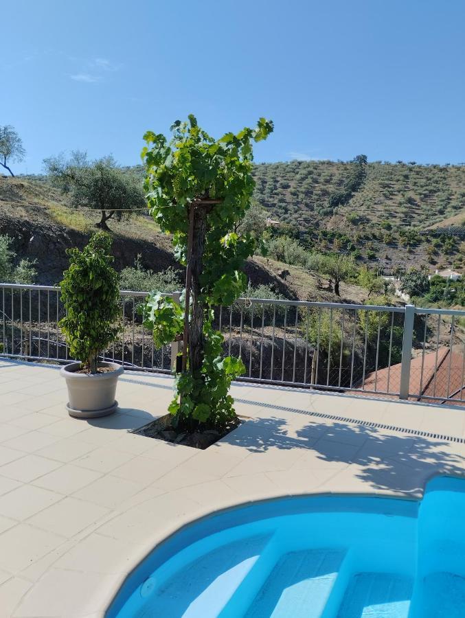 Villa Las Vinas Malaga Exterior photo